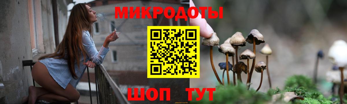 Псилоцибиновые грибы прущие грибы  Вход с VPN  Псилоцибиновые грибы Psilocybe  Юрга 
